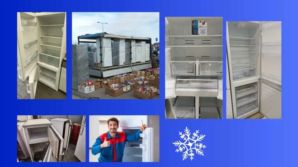 Pretraga frižidera po prodavnicama pa čak i na buvljaku